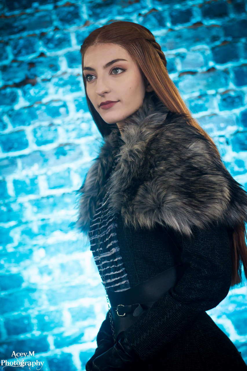 Sansa Stark From Game Of Thrones By Kell