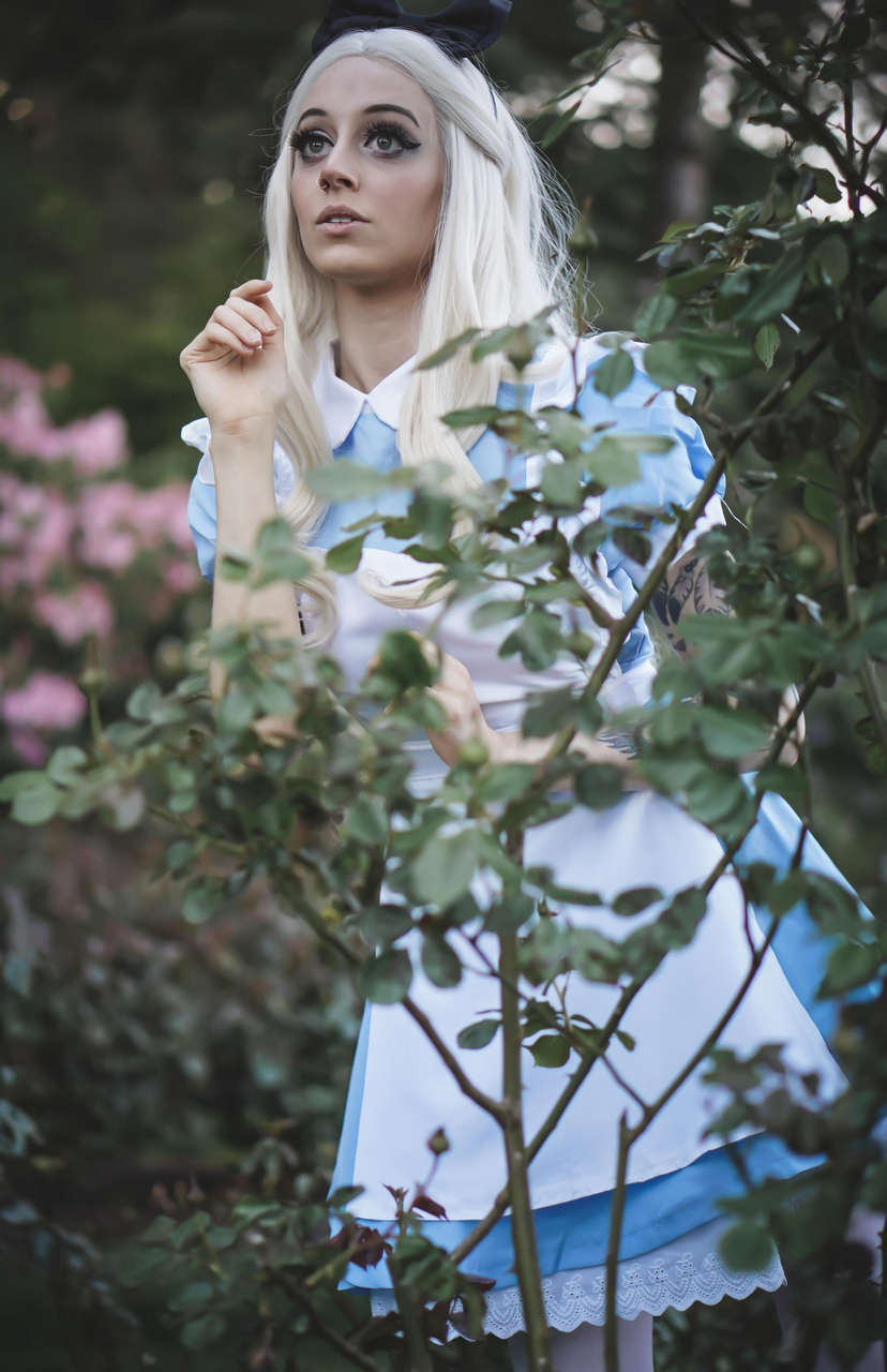 Alice In Wonderland Cosplay By Damnjacquie Sel