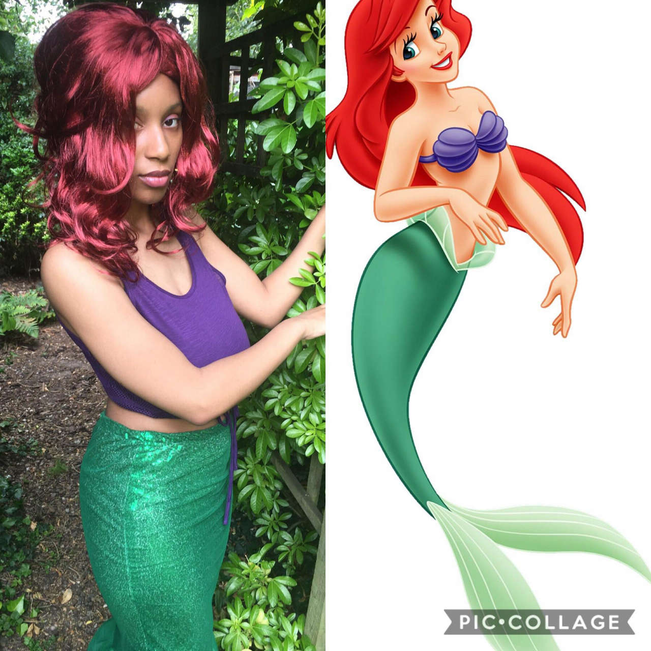 Ariel The Little Mermai