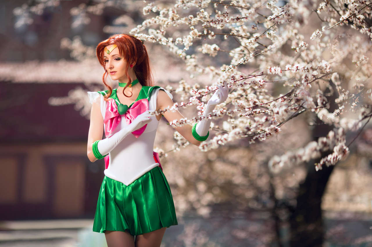 Cosplay Of Sailor Jupiter Near Blooming Sakura By Violentiann