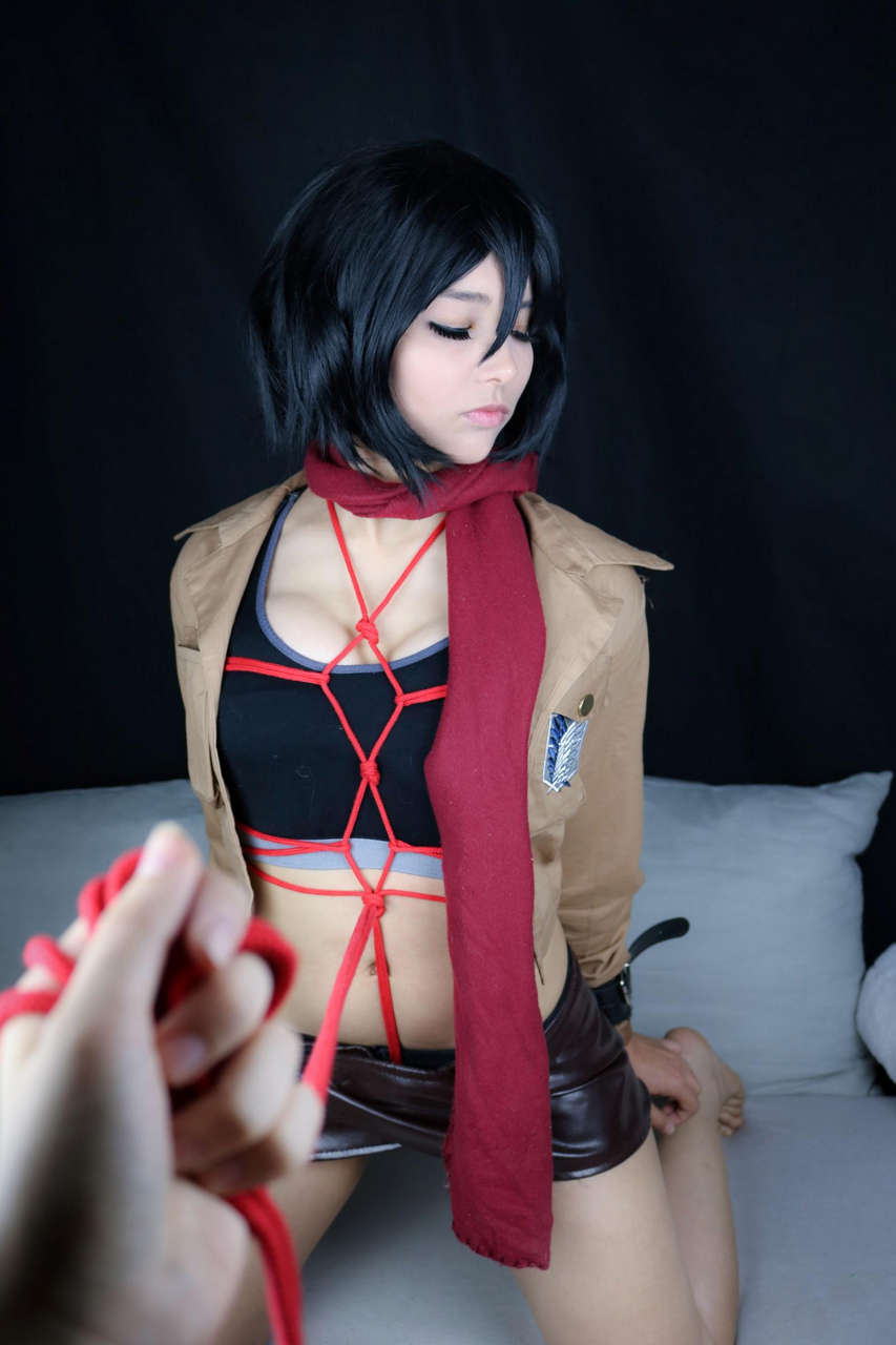 Do You Wanna Tame Mikasa By Gunarett