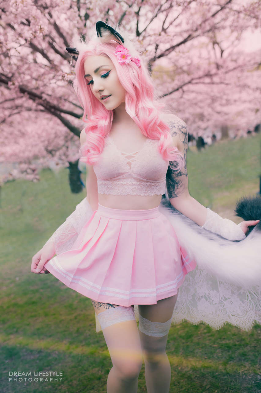 Luxlo Cherry Blossoms Photographe