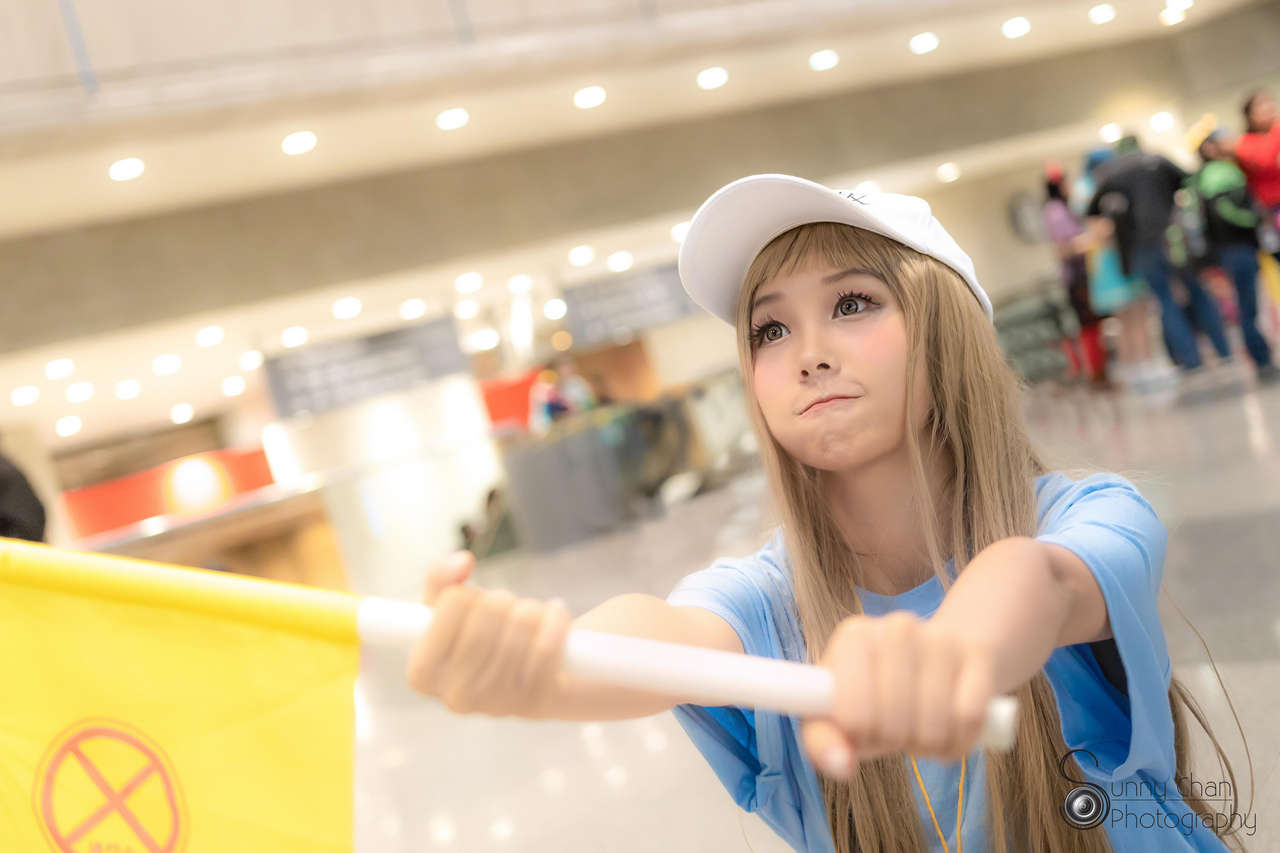 Platelet From Cells At Work By Ig Poison Sena Fb Poisonjen Cospla