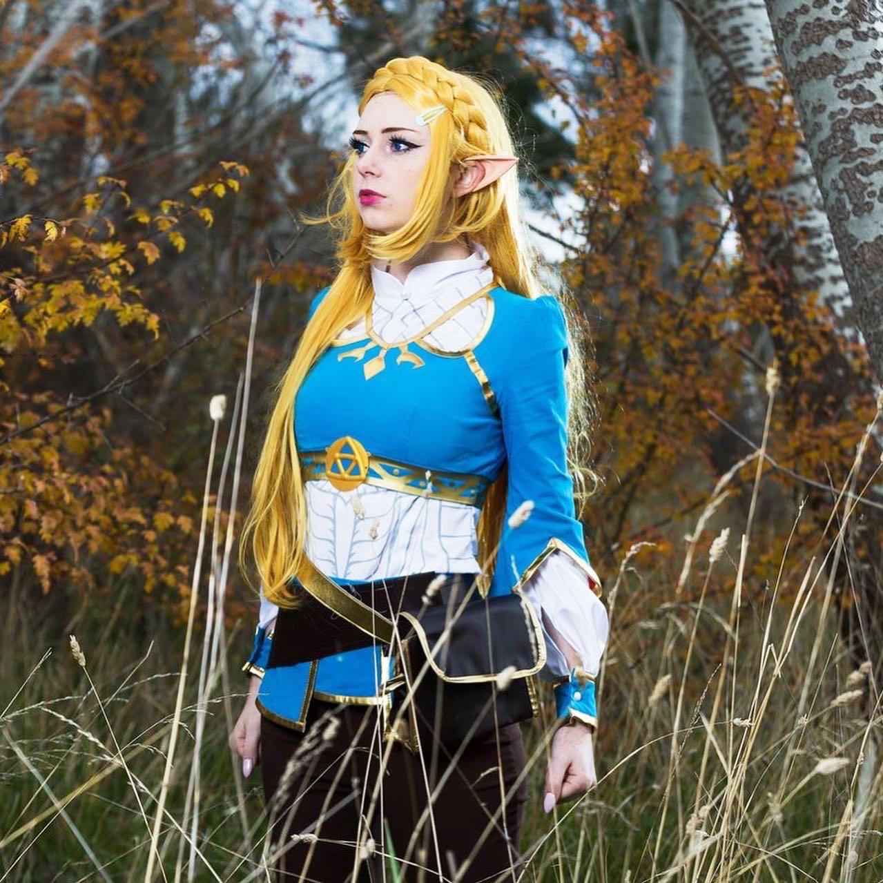 Princess Zelda By Elefire The El