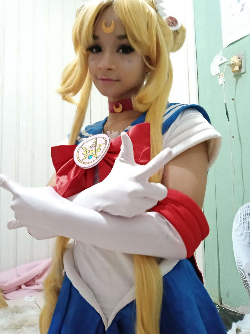 Sailor Moon By Pandafla