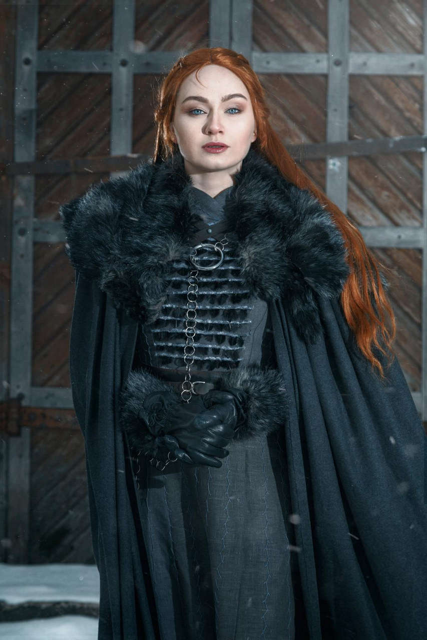 Sansa Stark By Anya Vont