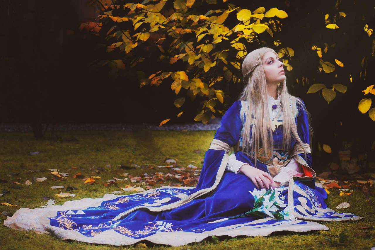 Self Old New Photo Of My Royal Zelda From Breath Of The Wil