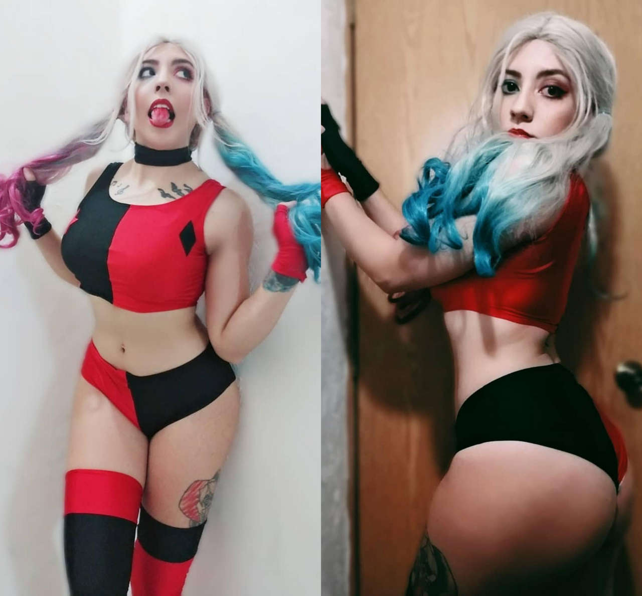 Stolenbrush As Harley Quin