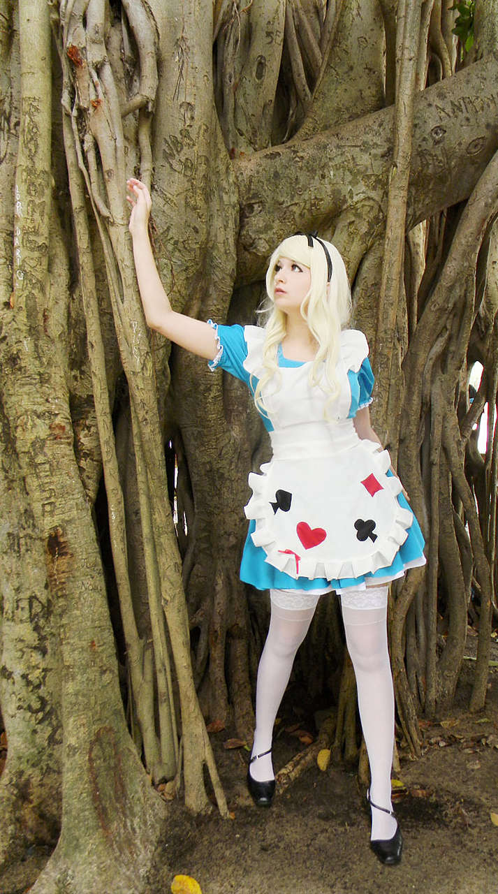 Alice Alice In Wonderland