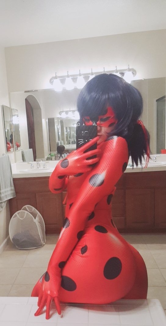 Miraculous Ladybug By Proteinkis