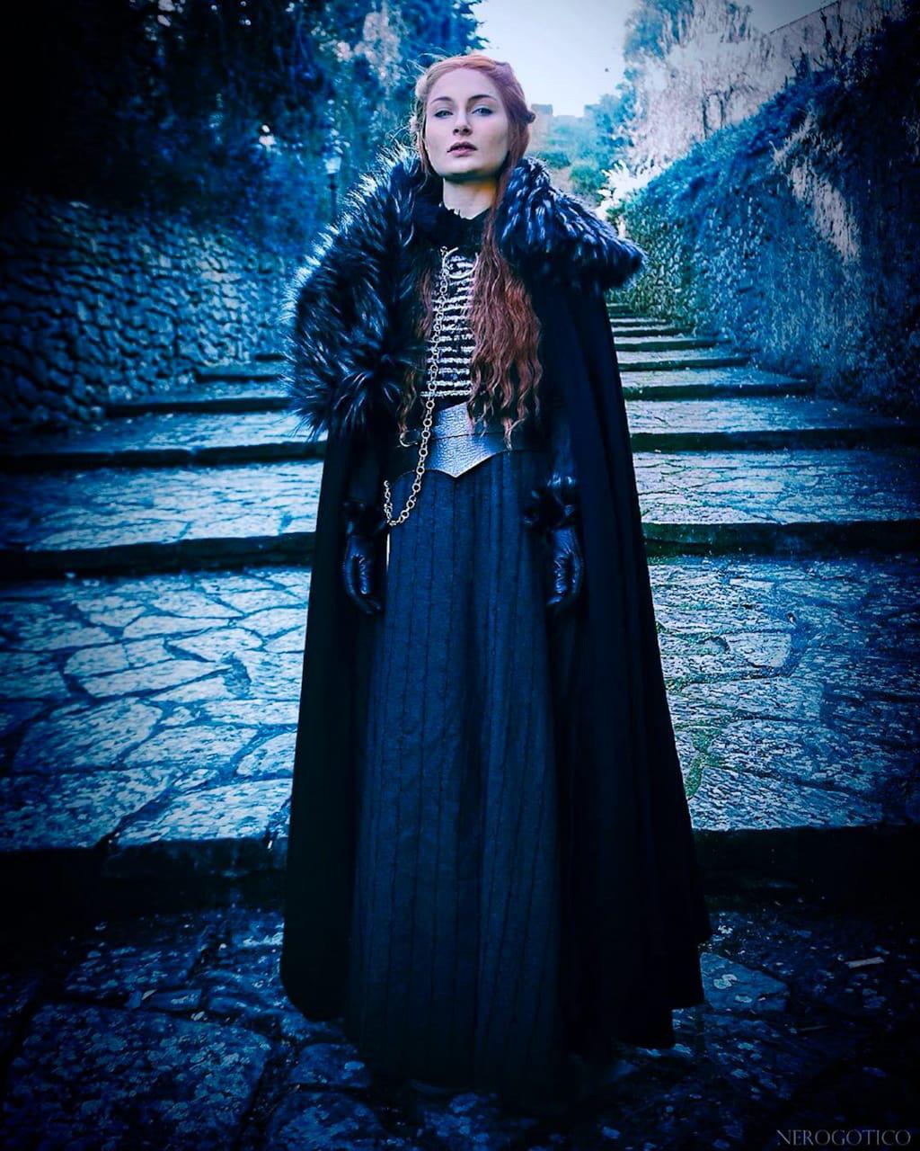 Sansa Stark The Lady Of Winterfell By Irene Lady 0