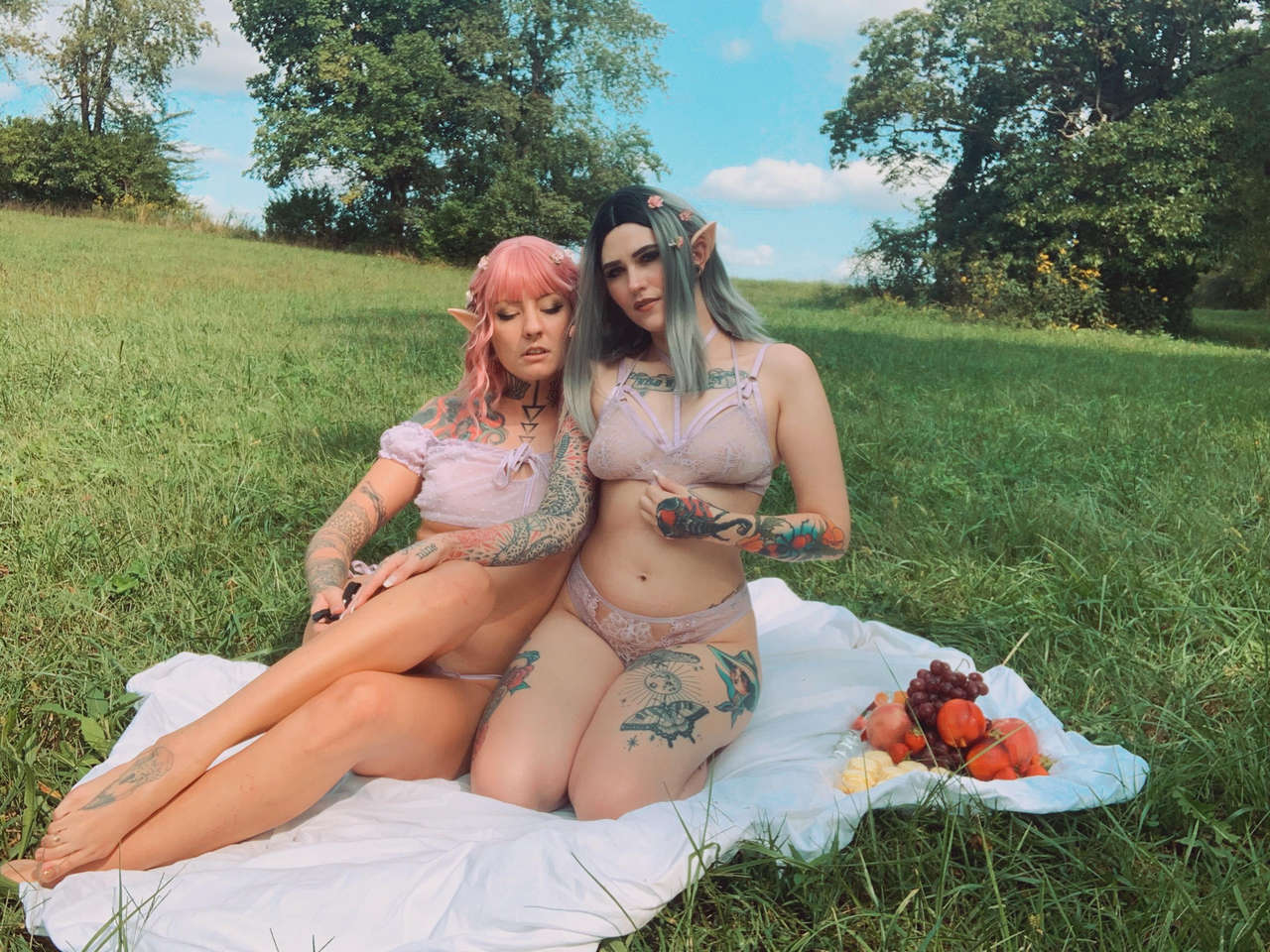 Two Faeries Serving Up A Picnic What Are Yo