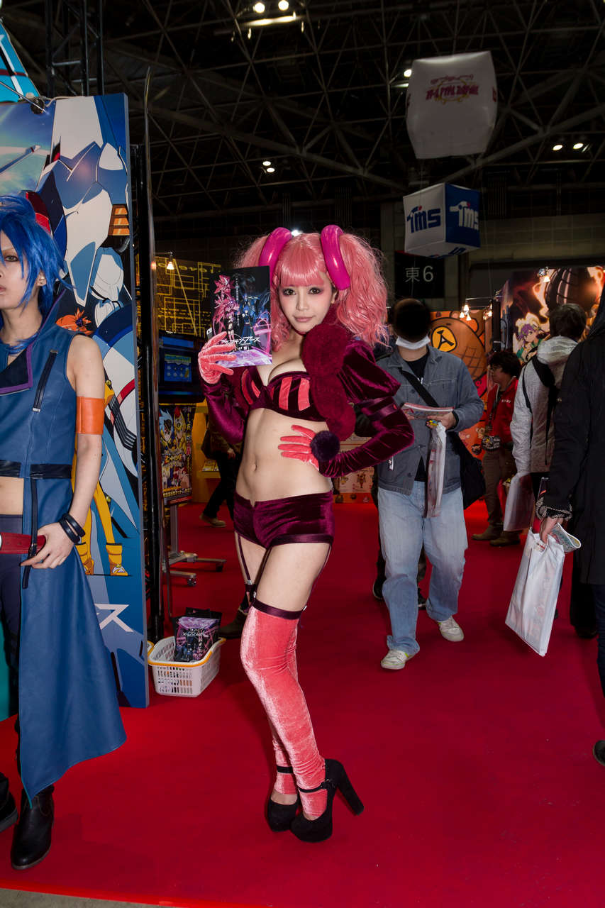 Ace Anime Content Expo 2014 Cosplay Companion Image Summary 30 Photos Story Viewer Hentai Cosplay
