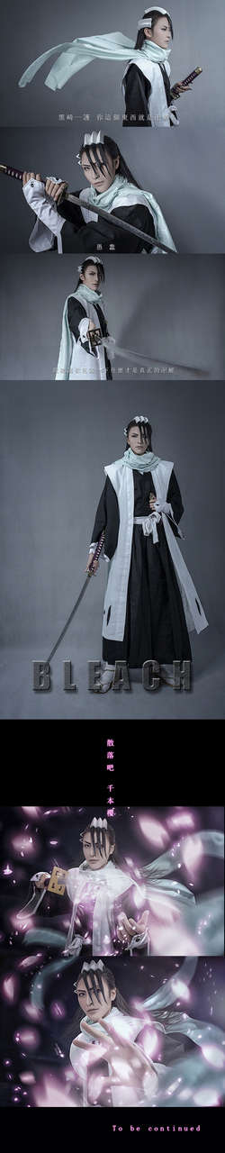 Bleach Bleach Deadwood Kuchiki Byakuya U Division