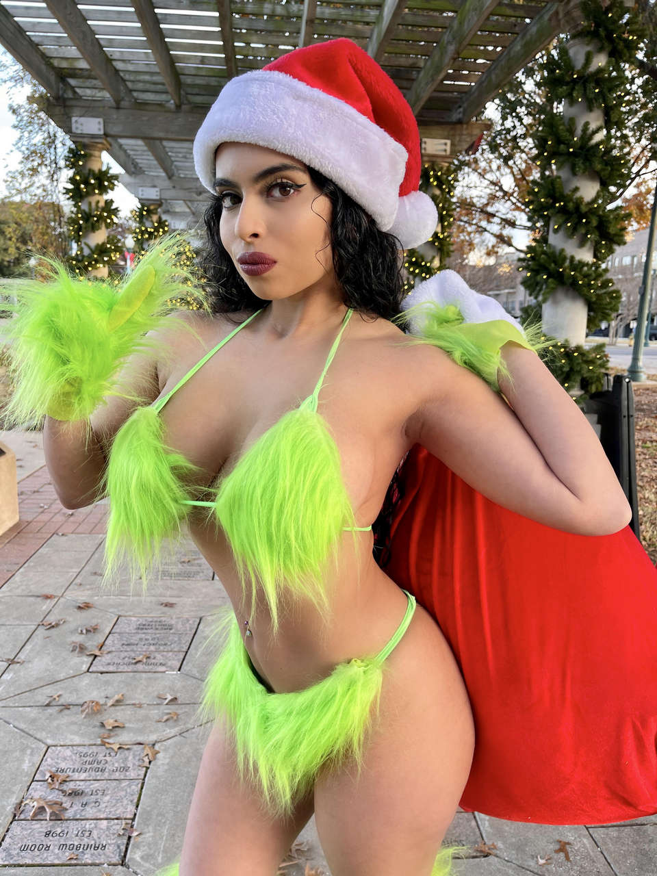 The Grinch Cosplay By Xochavella