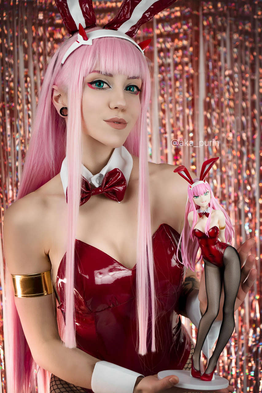 Bunny Zero Two Cosplay Vs Character By Purine