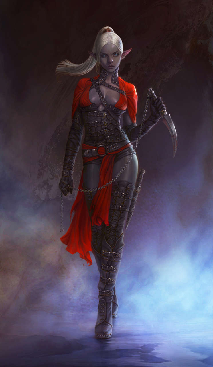 Dark Elf Assassin By Young June Cho