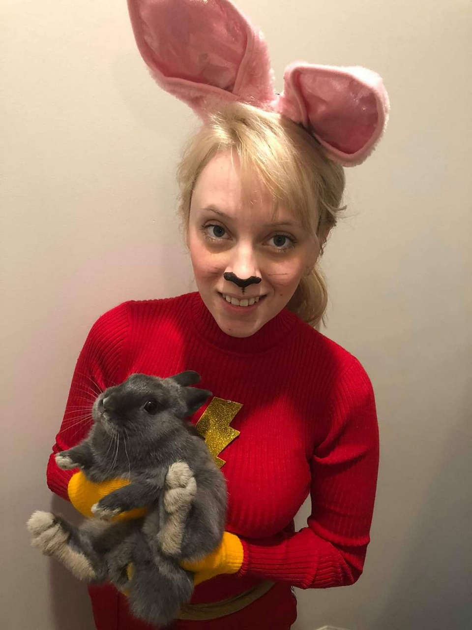 Anyone Ever Heard Of Hoppy The Marvel Bunny Dont Worry My Pet Rabbit Is Oka