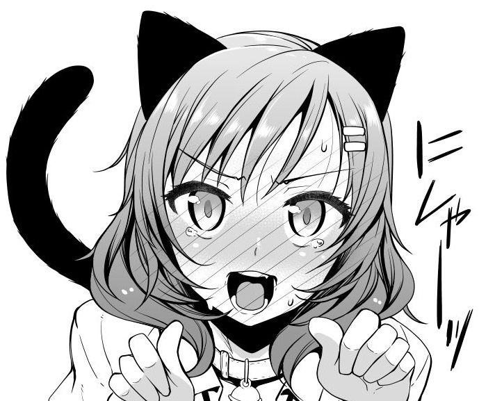 Maki As A Cat Tsundere Cosplay Works Wonder