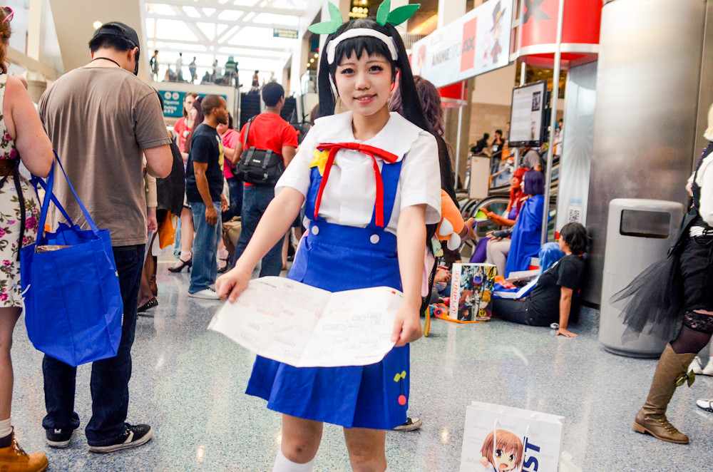 Anime Expo 2014 Cosplays