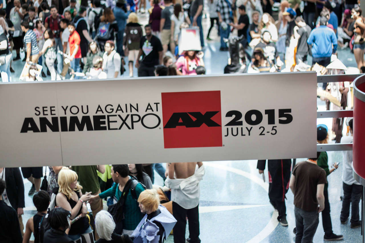 Anime Expo 2014 Day