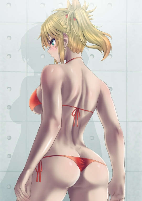 Mordred Fate Apocrypha Fate Serie