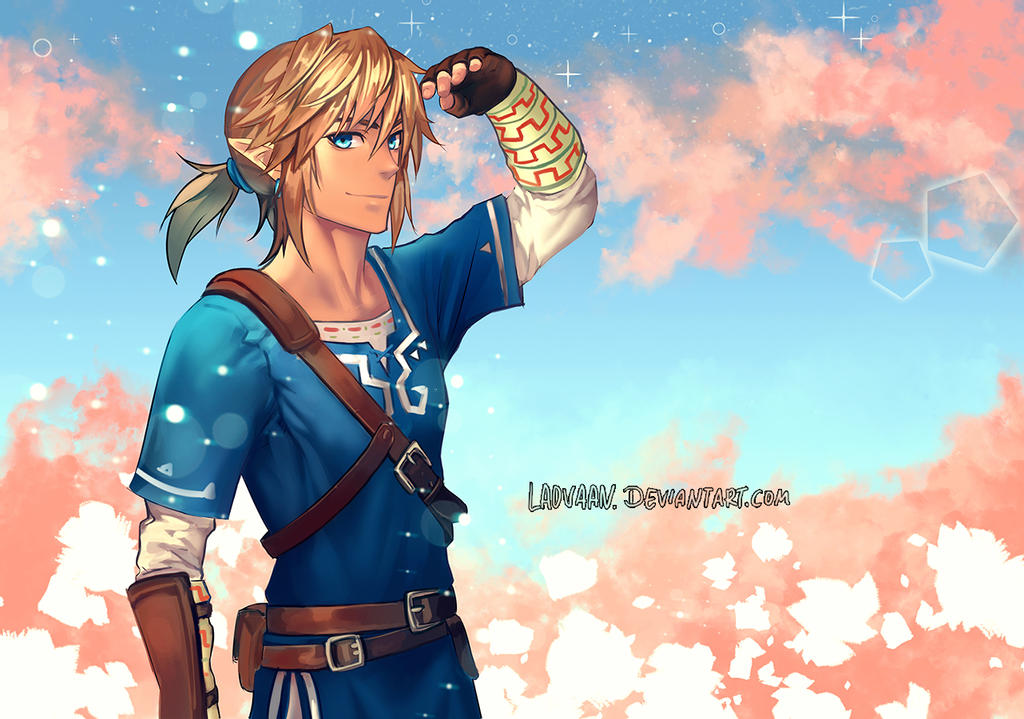 Breath Of The Wild Link Painte
