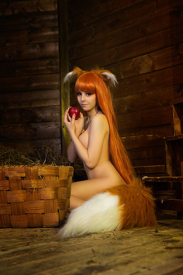Spice And Wolf Holo The Wise Wolf 