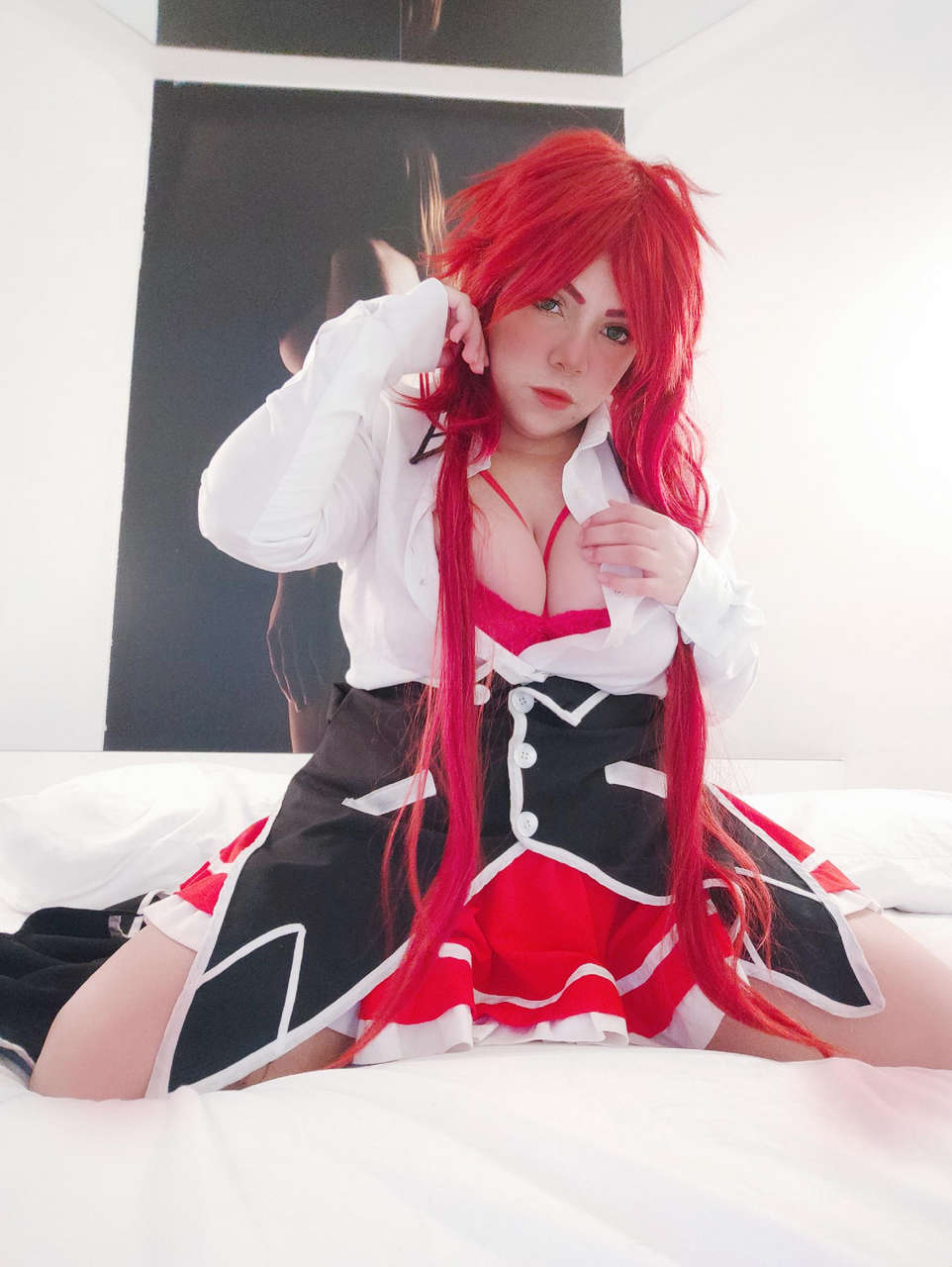Rias Gremory From High School Dxd