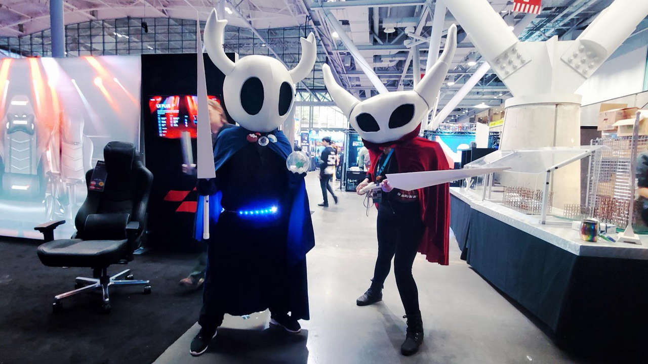 Hollow Knight Hollow Knight And Horne