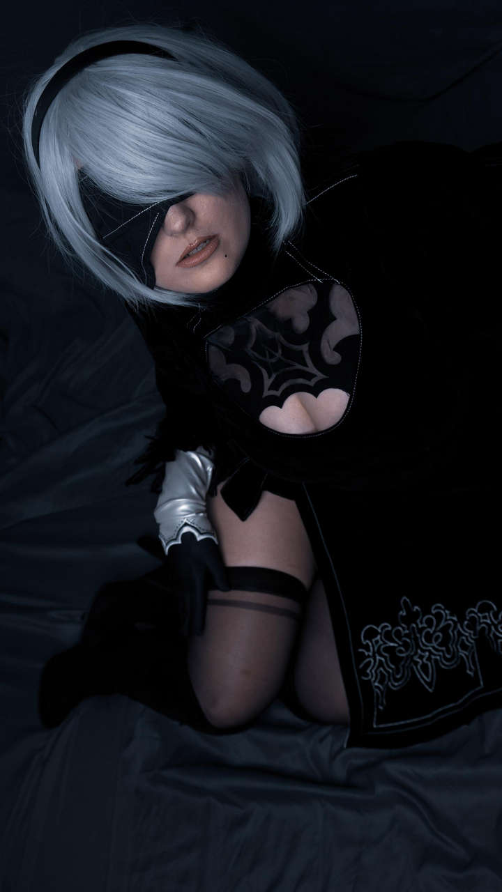 2b From Nier Automat