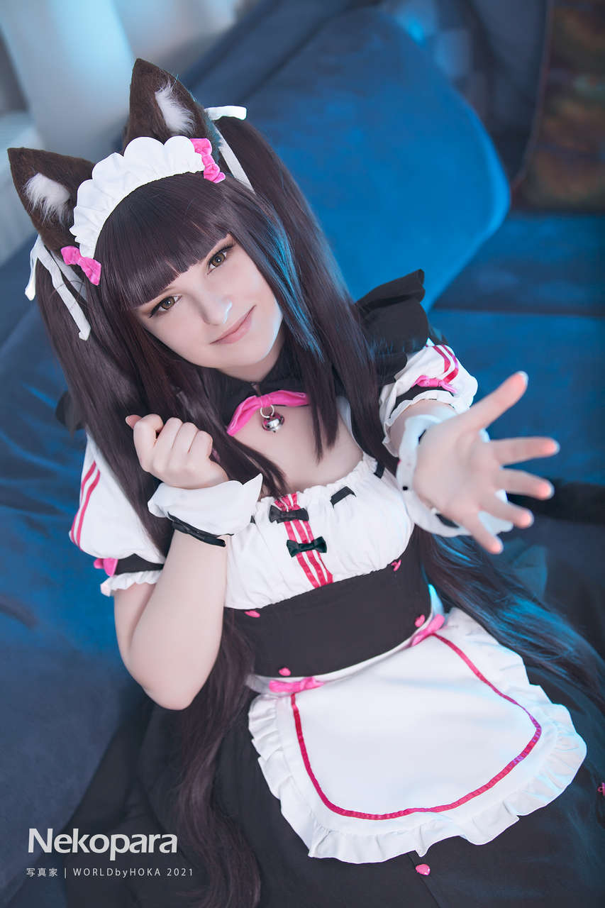 Chocola Cosplay By Sana Cs And By World By Hok