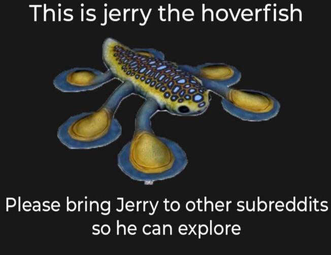 Let My Boy Jerry Hover Her