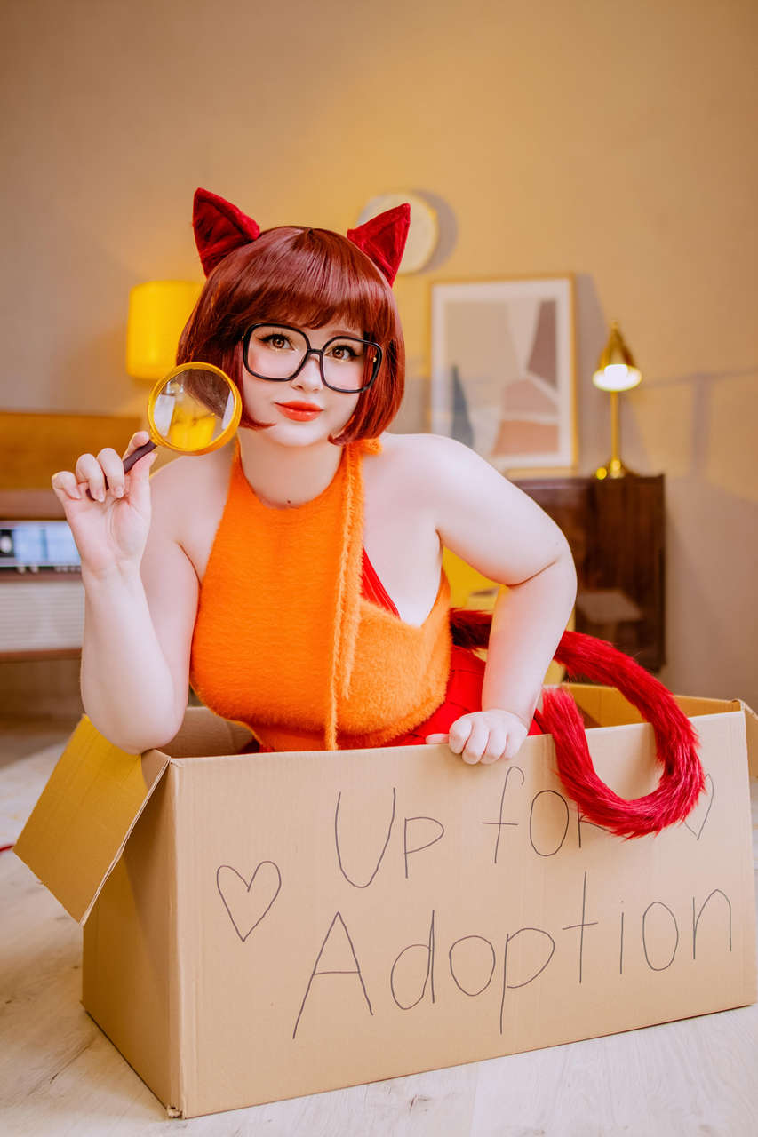 Adopt This Cute Kitty Velma Today By Venusblessin