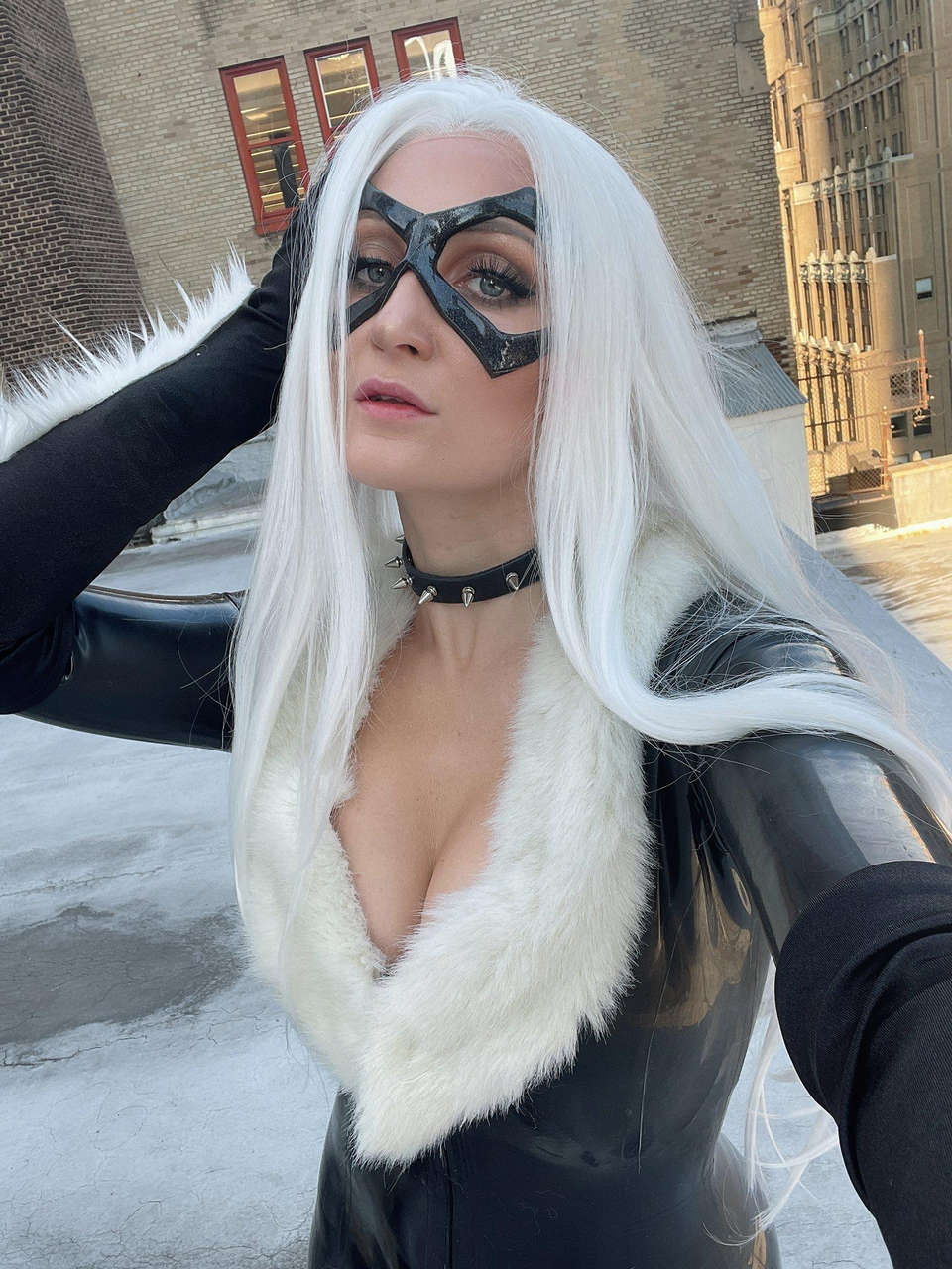 Black Cat Cosplay By Holly Wol