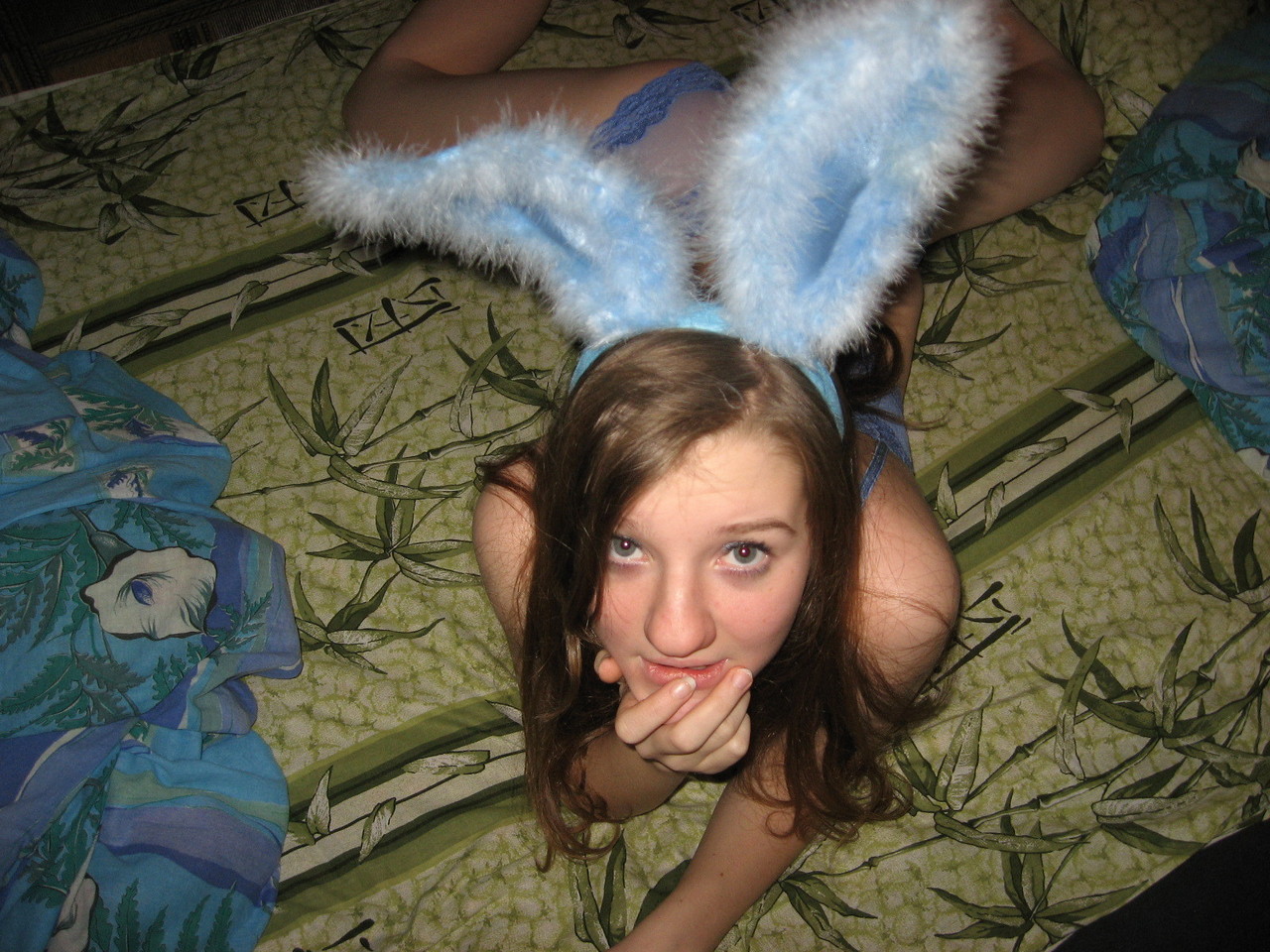 Blue Eared Bunny