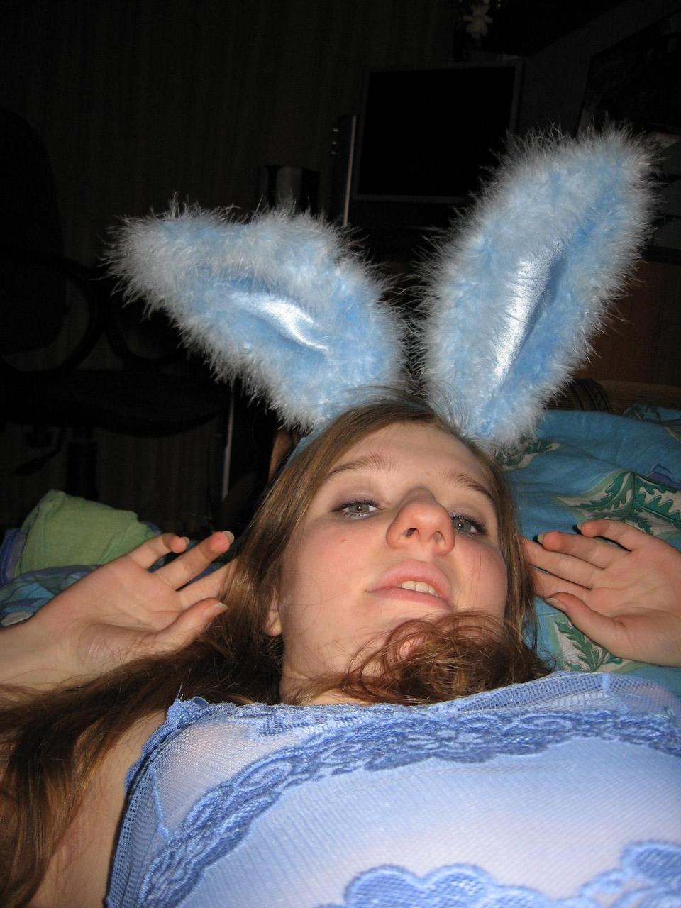 Blue Eared Bunny