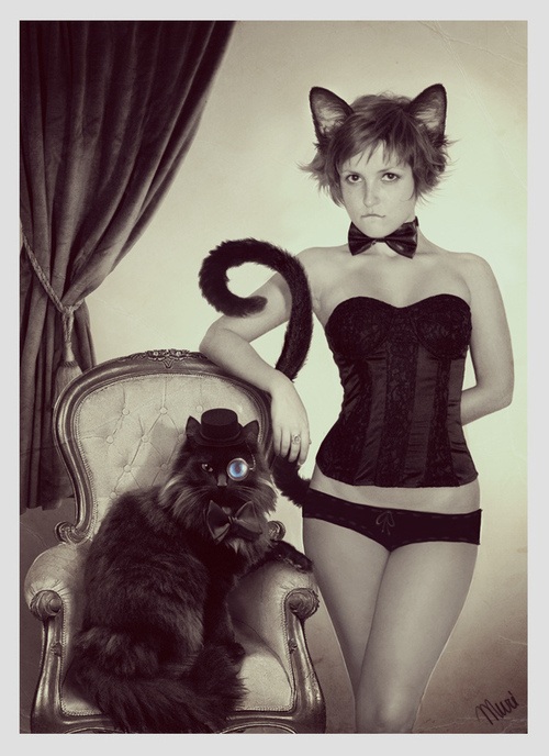 Monocle Cat And His Pet X Girlsnanimal