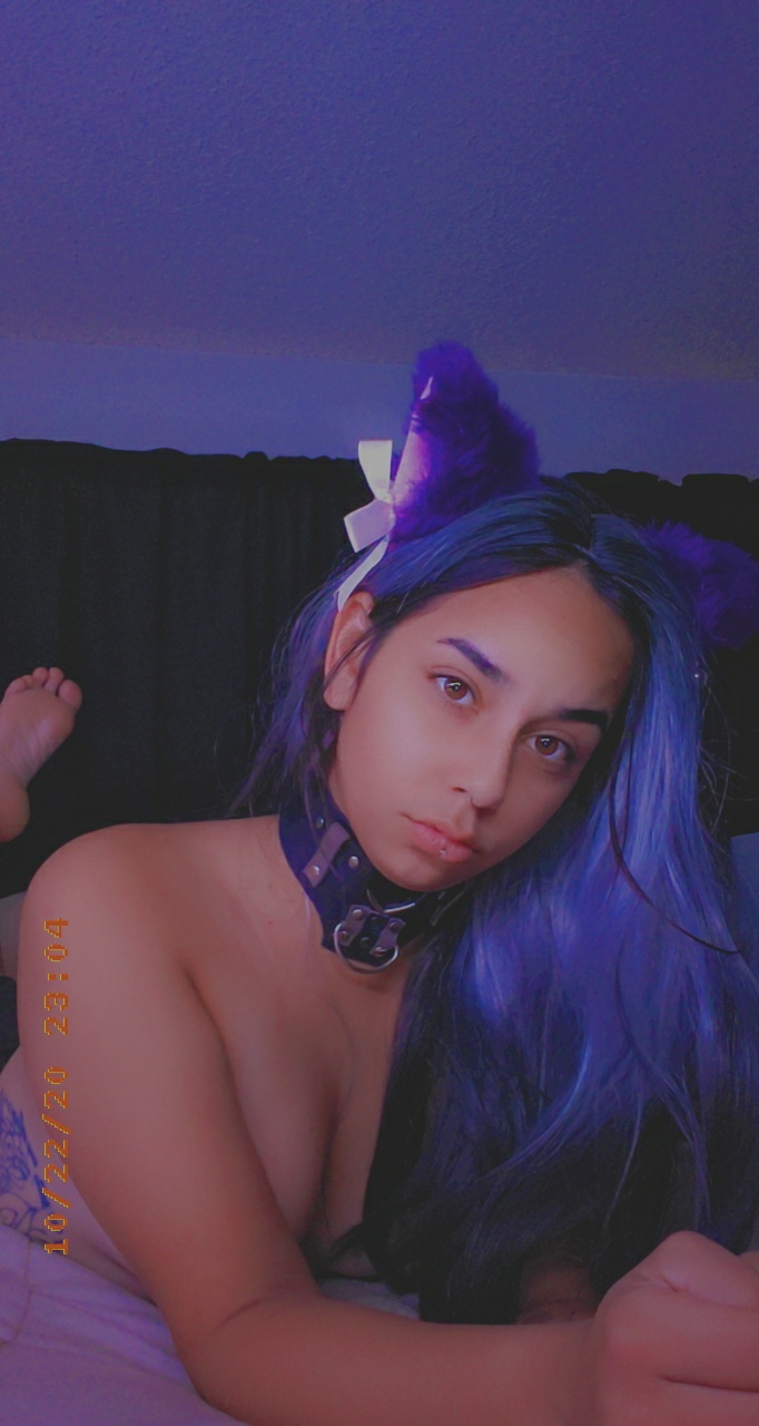 Purple Kitties And Pretty Pussies Master Made Me A New Collar And I Love I