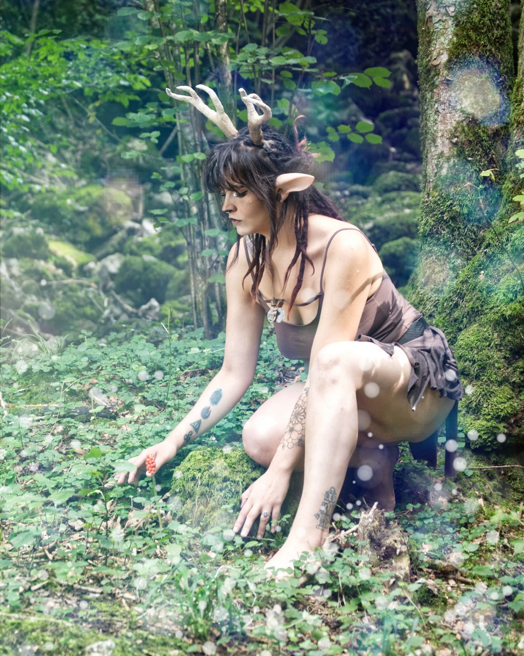Do You Prefer Fawn Or Satyr Link In The Comment
