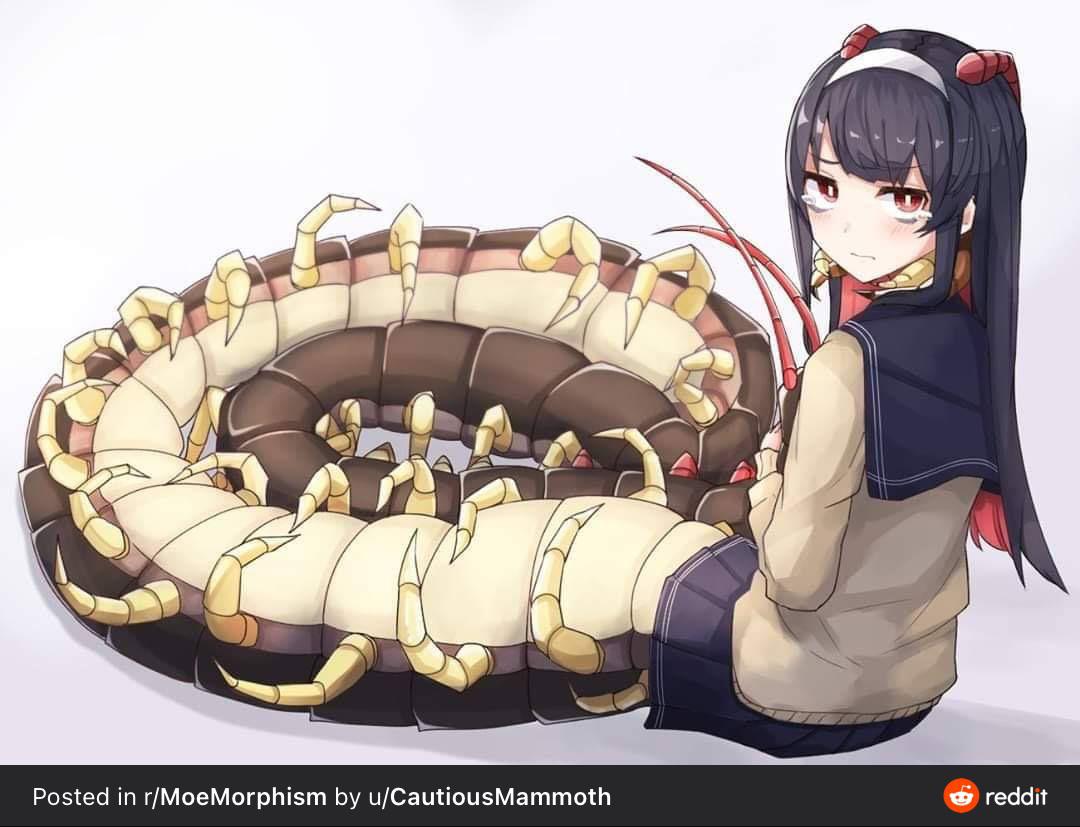 Centepede Chan Im Going To Upload Daily Images Of He