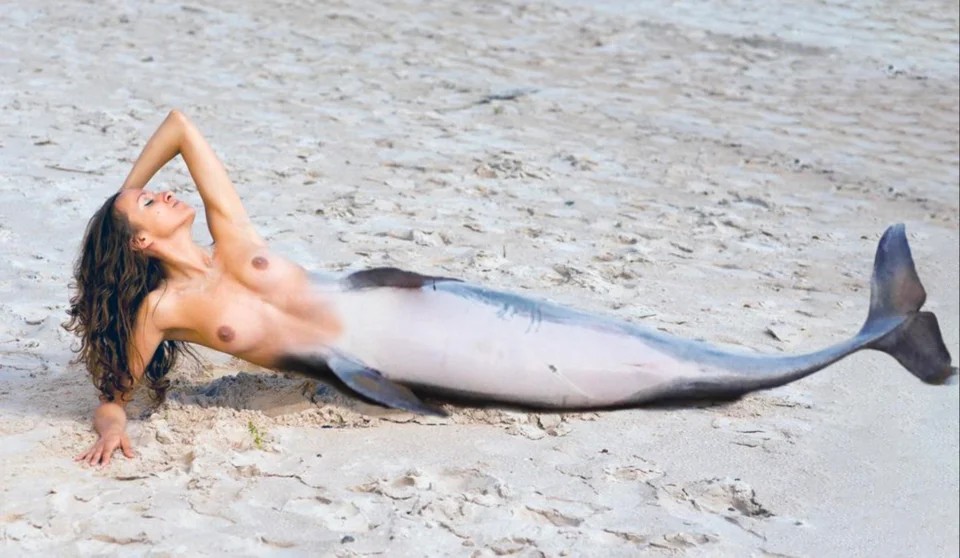 Ive Heard Dolphins Are Very Sexual Creature
