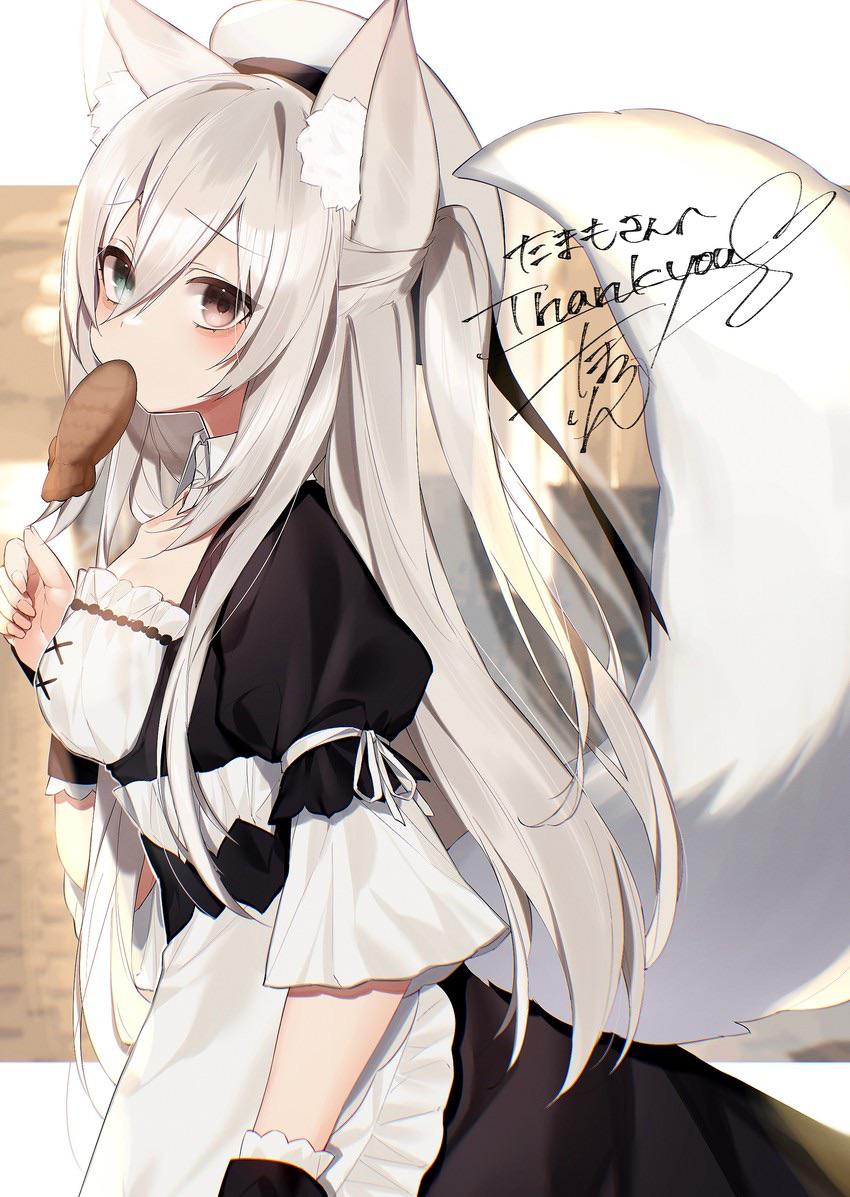 Little White Fox Maid By Tamafuri