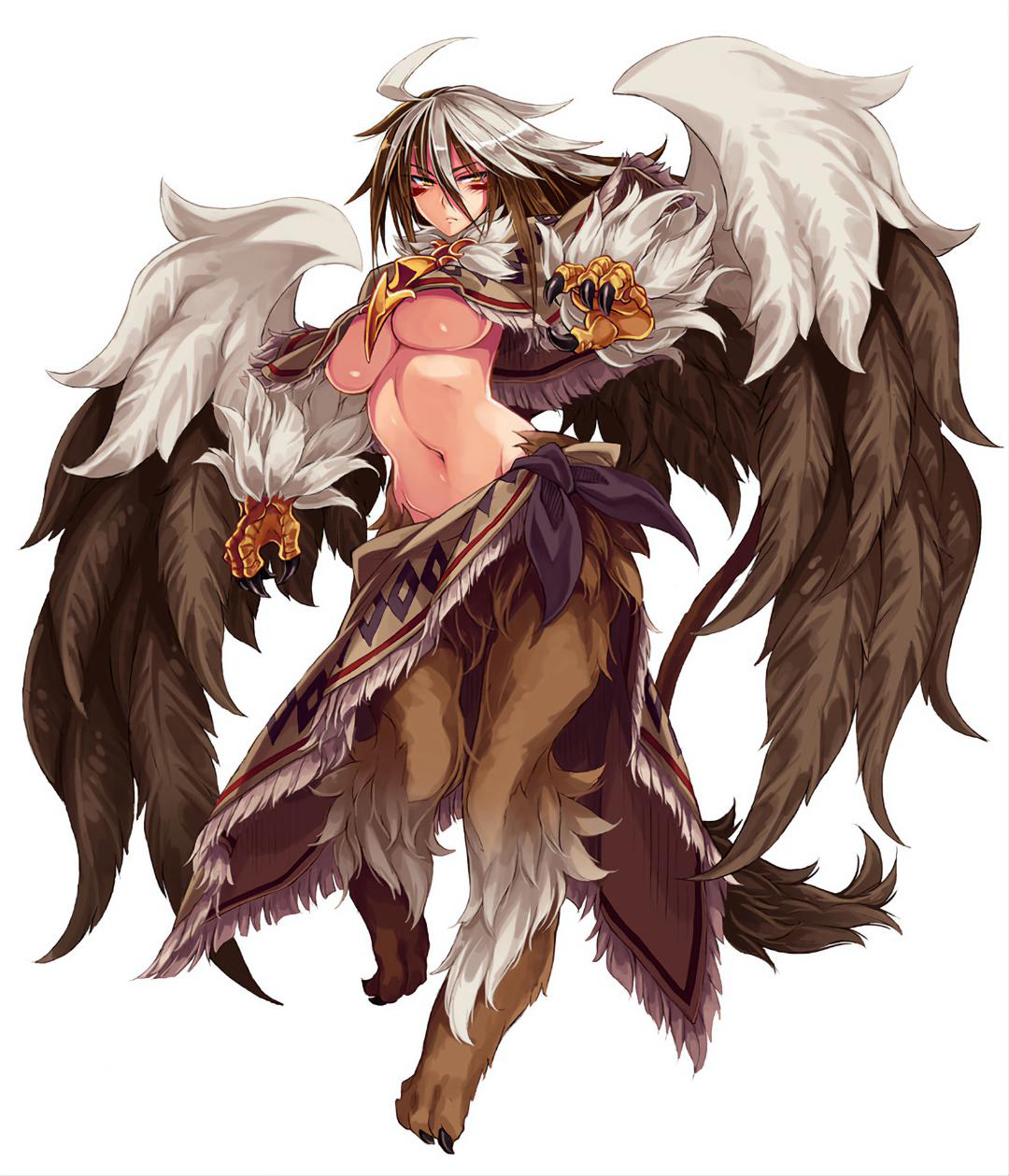 Monster Girl Encyclopedia Griffin Id Love To Be Held By He
