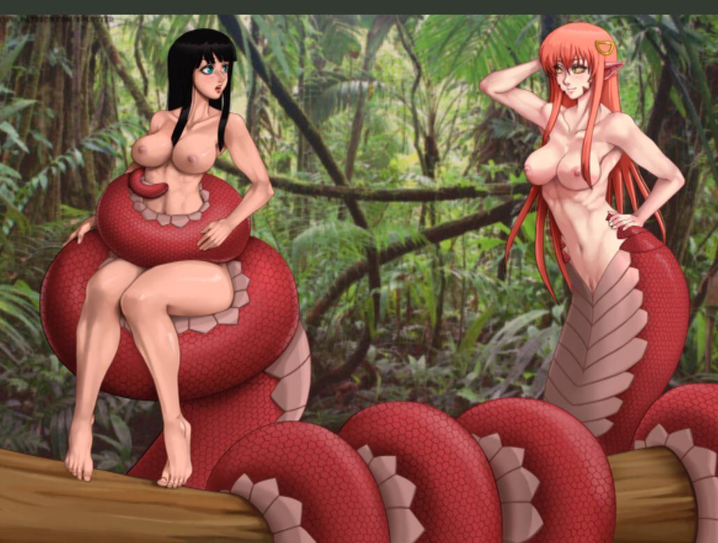 My Collection Of Nico Robin X Miia Hentai Which Exists In Surprisingly Large Quantities