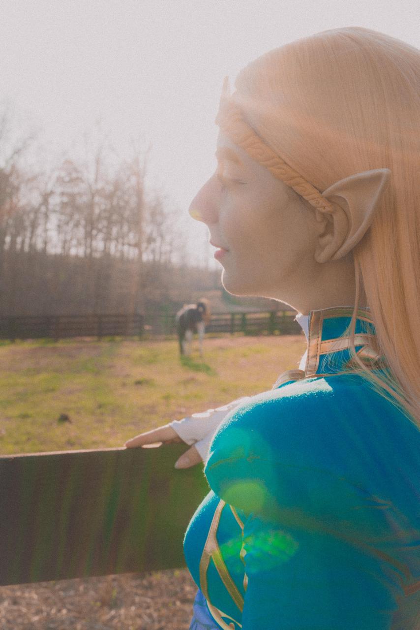 Princess Zelda Cosplay Self