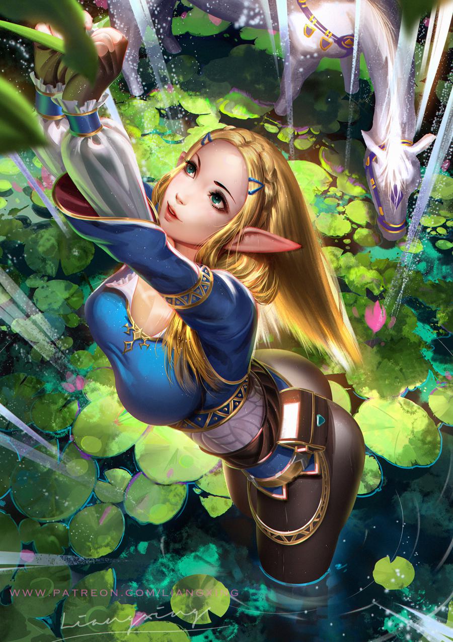 Princess Zelda Legend Of Zelda Liang Xin