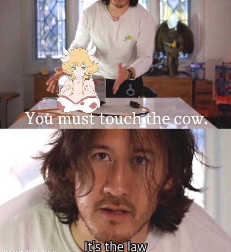 Touch The Cow Do It No