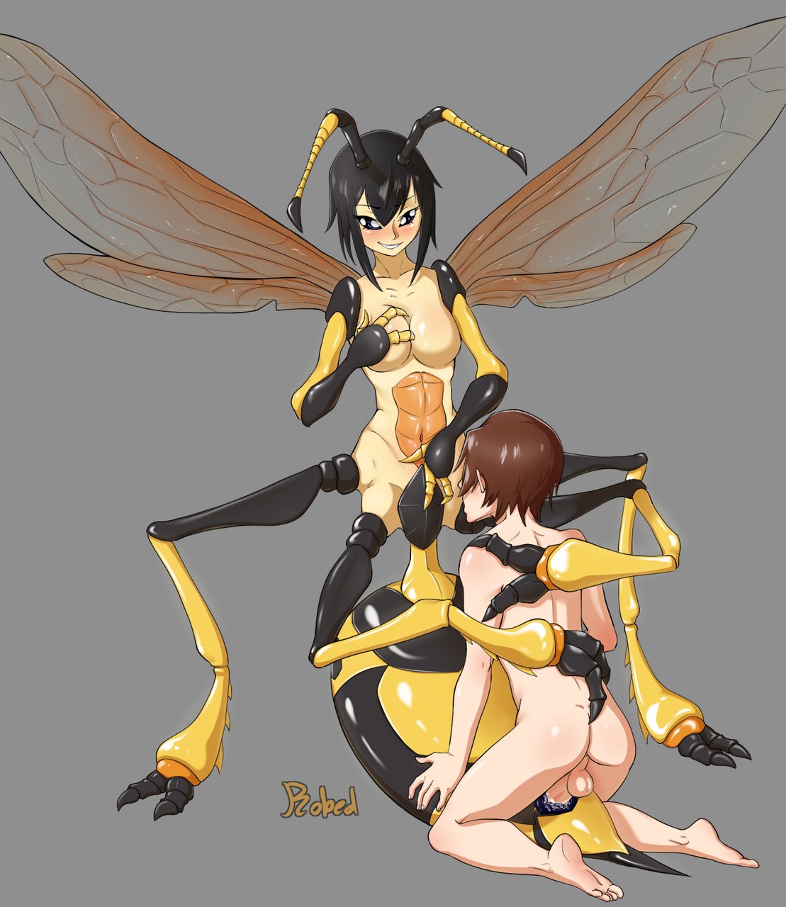 Wasp Monster Girl Original Robedar
