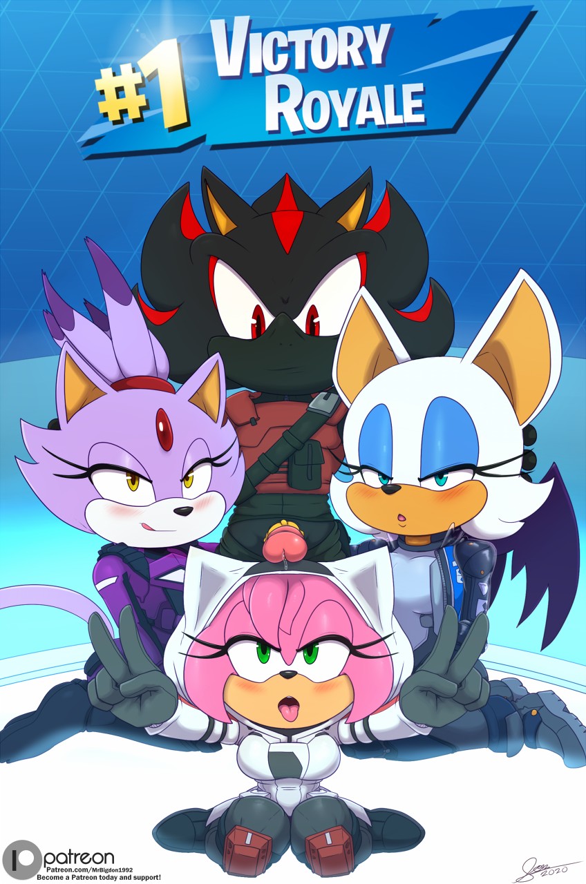 Amy Rose Blaze The Cat Rouge The Bat Shadow The Hedgehog By Bigdon199